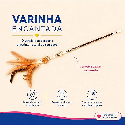 Varinha Encantada - Brincadeiras de Gato Marrom