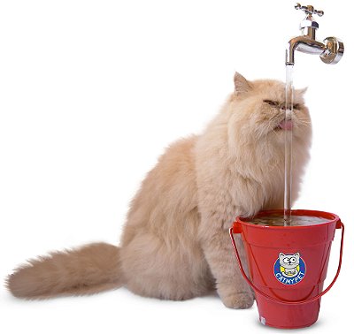 Bebedouro Fonte para Gatos Torneira MagiCat