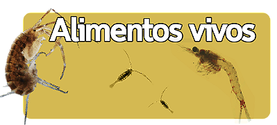 Alimentos Vivos