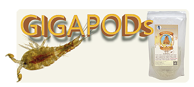 GIGAPODS