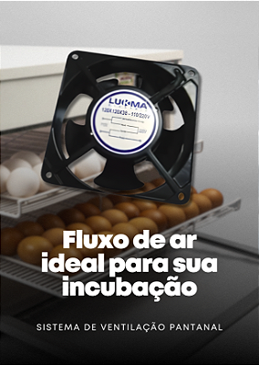 Fluxo de ar ideal