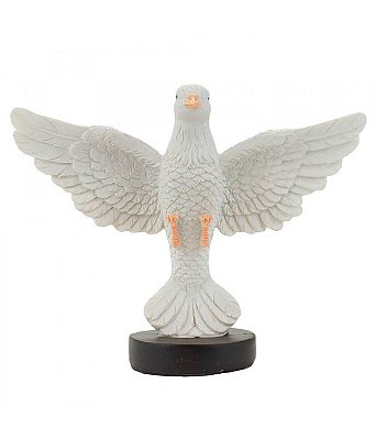 Espírito Santo 13 CM