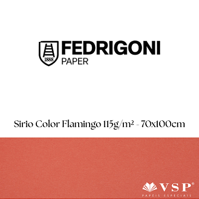 Papel Sirio Color Flamingo 115g/m² Tamanho 70x100cm - Pacote com 50 folhas