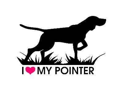 Adesivo Pointer