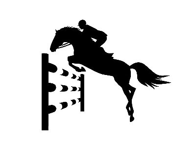 Hipismo Salto ll - Cavaleiro - Amazona