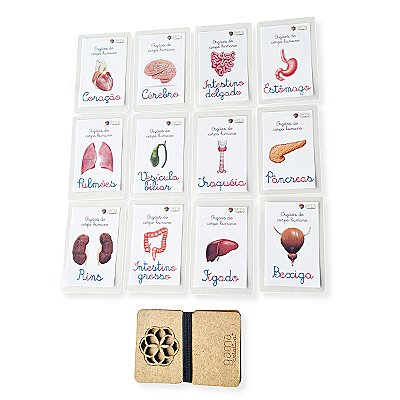 Cards Órgãos Humanos - 12un