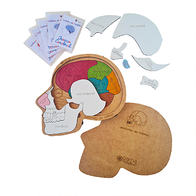 Anatomia Cabeça + 6 cards
