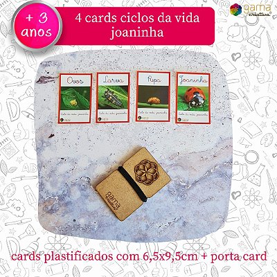 Cards Ciclo Vida Joaninha - 4un