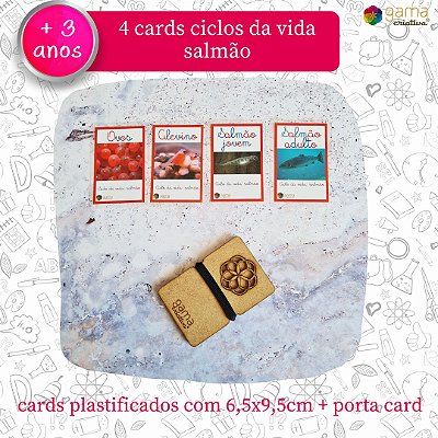 Cards Ciclo Vida Salmão - 4un