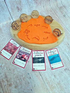 Carimbo para massinha Ciclo da Vida Salmão + 4 cards - Base de MDF