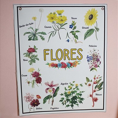 Banner - Flores