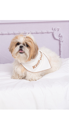 Ref. 5026 Bandana Pet - KEEP CALM