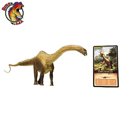 DIPLODOCUS EOFAUNA MINIATURA DE DINOSSAURO FIGURA CIENTÍFICA DE DIPLODOCO