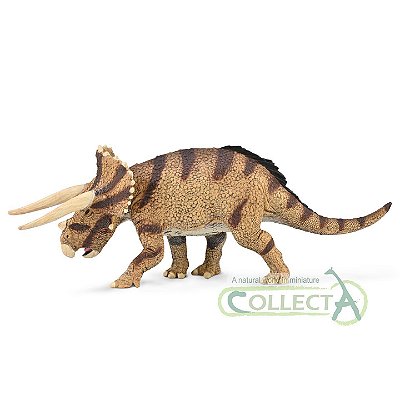 TRICERATOPS CONFRONTANDO COLLECTA 2023 MINIATURA DE DINOSSAURO ATACANDO