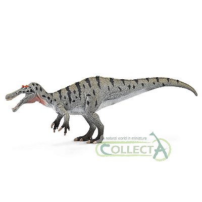 GIGANOTOSAURUS PAPO 2020 BRINQUEDO DE DINOSSAURO MINIATURA DE DINO REA -  Dinoloja - A melhor loja de dinossauros de coleção do Brasil!