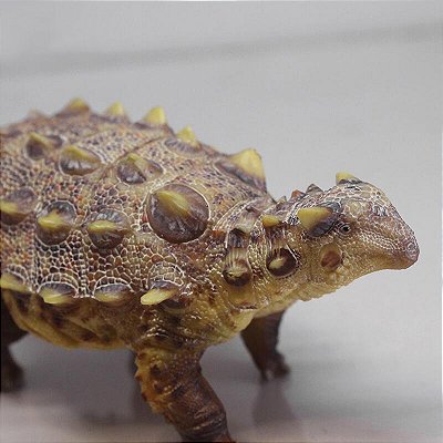 TIANZHENOSAURUS HAOLONGGOOD MARROM DINOSSAURO HERBÍVORO MODELO CIENTÍFICO TIANZENOSSAURO
