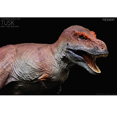 TYRANNOSAURUS REX TUSK REBOR KING T.REX REQUIEM MINIATURA DE T. REX ATUALIZADO