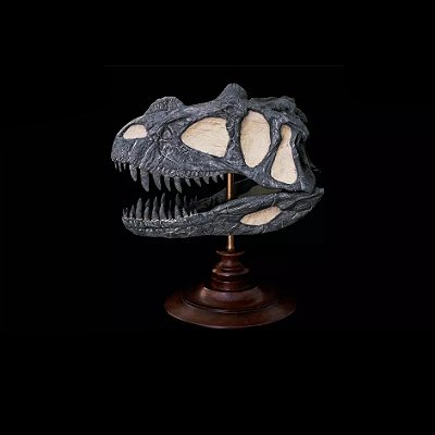 CRÂNIO DE CERATOSAURUS REBOR RÉPLICA DE FÓSSIL DINOSSAURO MINIATURA CERATOSSAURO