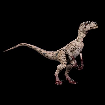 VELOCIRAPTOR RAINHA BRANCA NANMU STUDIO MINIATURA DINOSSAURO CARNÍVORO RAPTOR