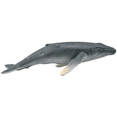 BALEIA JUBARTE FILHOTE COLLECTA MINIATURA ANIMAL MARINHO BRINQUEDO HUMPBACK WHALE CALF