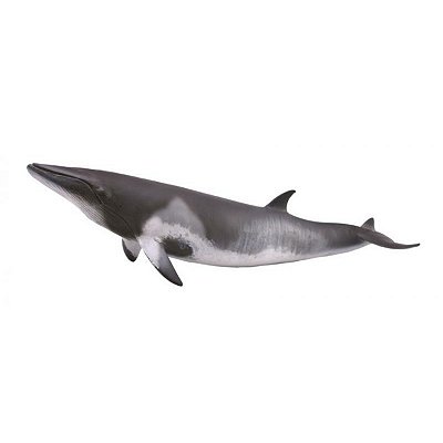 BALEIA MINKE COLLECTA MINIATURA ANIMAL MARINHO BRINQUEDO MINKE WHALE