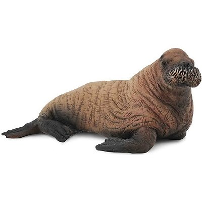 MORSA FILHOTE COLLECTA MINIATURA ANIMAL MAMÍFERO MARINHO BRINQUEDO WALRUS CALF