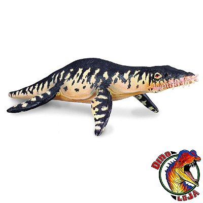 LIOPLEURODON BRINQUEDO DE RÉPTIL MARINHO RÉPLICA  MINIATURA DINOSSAUROS COLLECTA