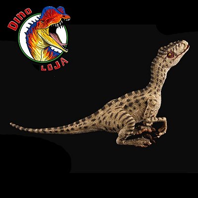 VELOCIRAPTOR FÊMEA ROSE REBOR RÉPLICA DINOSSAURO BRINQUEDO IMPORTADO