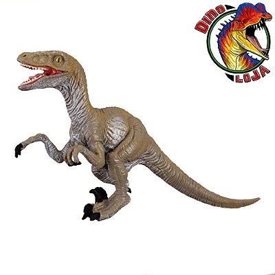 VELOCIRAPTOR PROCON COLLECTA DINOSSAURO IMPORTADO BRINQUEDO RAPTOR