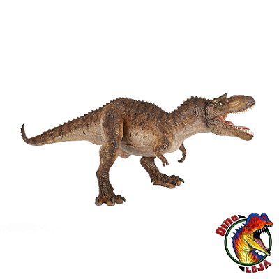 GORGOSAURUS PAPO 2019 MINIATURA DE DINOSSAURO BRINQUEDO DE DINOSSAURO COLECIONÁVEL GORGOSSAURO