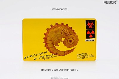 EMBRIÃO EM RESINITA REBOR G-2016 ESPÉCIME DE KAIJU GODZILLA PRESERVADO