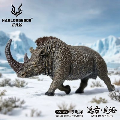 COELODONTA HAOLONGGOOD MINIATURA RINOCERONTE EXTINTO MAMÍFERO PRÉ-HISTÓRICO PARACERATÉRIO