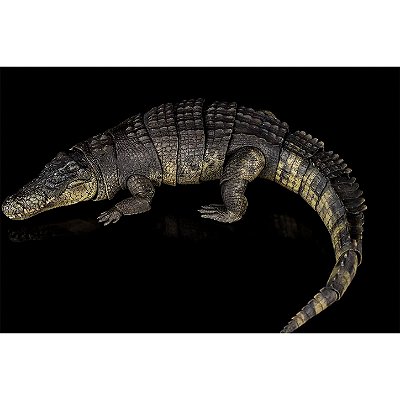 CROCODILO MARINHO NANMU STUDIO "LORD OF BLOOD" COR VERDE FIGURA ARTICULADA DE RÉPTIL REALISTA
