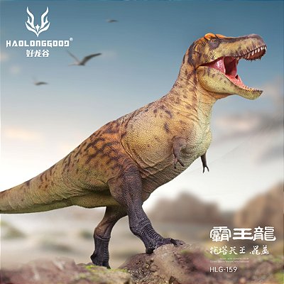TYRANNOSAURUS AMARELO HAOLONGGOOD 2025 "CHAO GAI" DINOSSAURO CARNÍVORO MODELO CIENTÍFICO T.REX TIRANOSSAURO