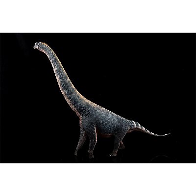 BRACHIOSAURUS HAOLONGGOOD CINZA DINOSSAURO HERBÍVORO MODELO CIENTÍFICO BRAQUIOSSAURO