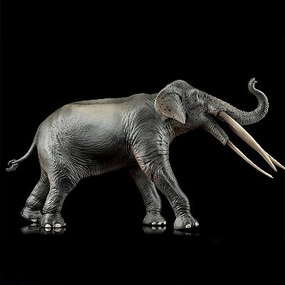 STEGOTETRABELODON HAOLONGGOOD CINZA MINIATURA ELEFANTE EXTINTO MAMÍFERO PRÉ-HISTÓRICO