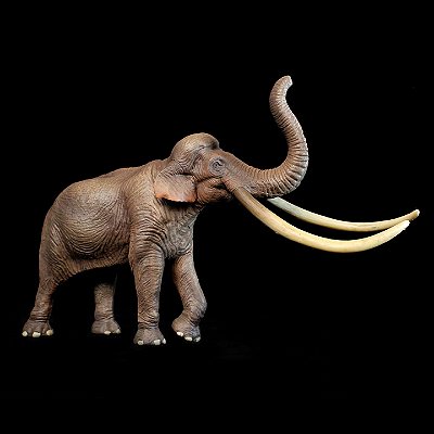 PALAEOLOXODON HAOLONGGOOD MARROM MINIATURA ELEFANTE-DE-PRESAS-RETAS MAMÍFERO PRÉ-HISTÓRICO EXTINTO
