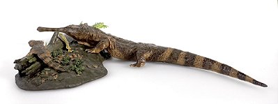 CHAMPSOSAURUS ADULTO E JUVENIL COM PEIXE DIORAMA DE RÉPTIL PRÉ-HISTÓRICO DA ERA DOS DINOSSAUROS