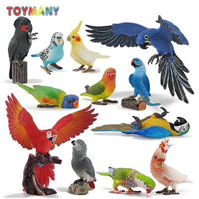 CONJUNTO DE 12 PAPAGAIOS TOYMANY FIGURAS DE AVES SILVESTRES DE BRINQUEDO PÁSSAROS SELVAGENS