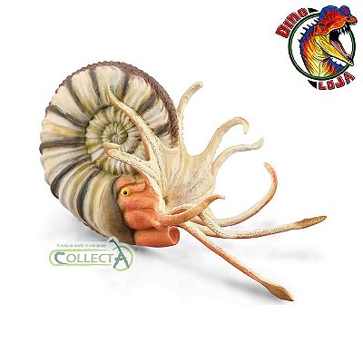 PLEUROCERAS COLLECTA 2020 RÉPLICA DE AMONITE IMPORTADO MINIATURA COLECIONÁVEL