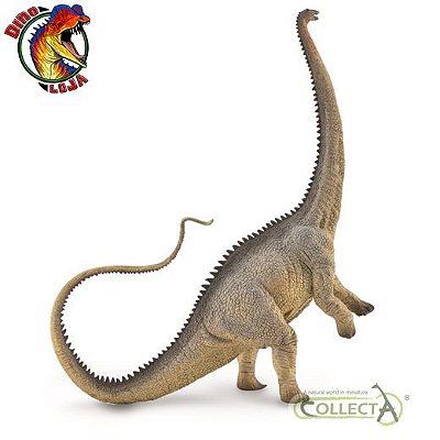 DIPLODOCUS COLLECTA 2020 RÉPLICA DE DE DINOSSAURO PESCOÇUDO SAURÓPODE