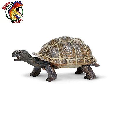 JABUTI BEBÊ SAFARI LTD INCREDIBLE CREATURES MINIATURA DE ANIMAL MARINHO