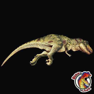 colecionador dinossauros  Brinquedos dinossauro para crianças - Figuras  brinquedo Rex e cabeça tiranossauro Rex como uma caixa armazenamento para  crianças brincadeiras imaginárias Nanyaciv : : Brinquedos e  Jogos