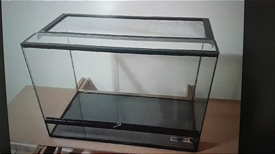 Terrário de Vidro - 45x45x60cm