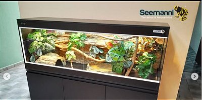 Terrário RAPHAEL MORAES