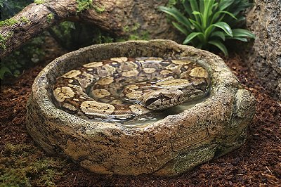 BEBEDOURO G1-C ( cor tropical )