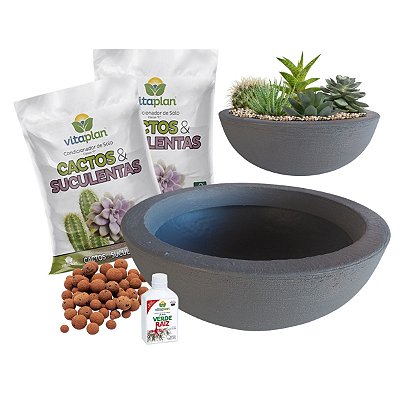 Kit Vaso Bacia Arranjo Completo Para Cacto e Suculenta + 4kg Terra Para Suculenta + Argila Expandida + Fertilizante 140ml
