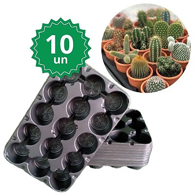 Kit 10 Porta Vaso NP06 15 Cavidades Preto - Nutriplan