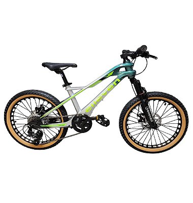 Bicicleta Infantil Elleven MTB Aro 20 8v Magnésio Verde/Cinza