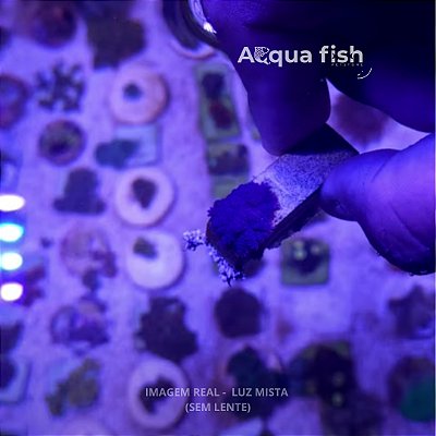 Mush Blue Tonga